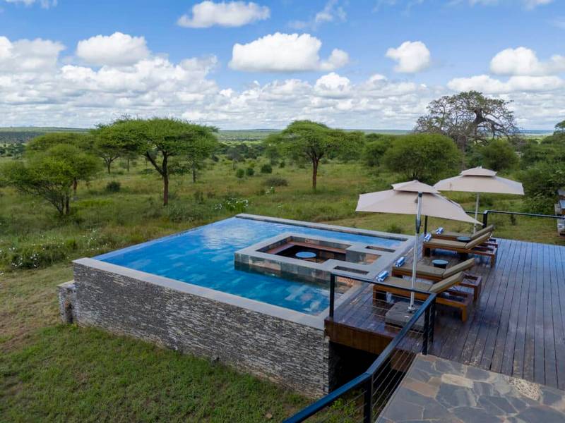 Tarangire Elephant Springs 4