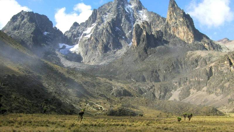 MS Mt Kenya f0688348 3