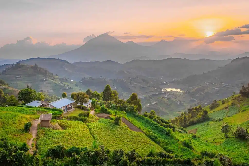 Uganda Where to go for Gorilla Trekking in Africa
