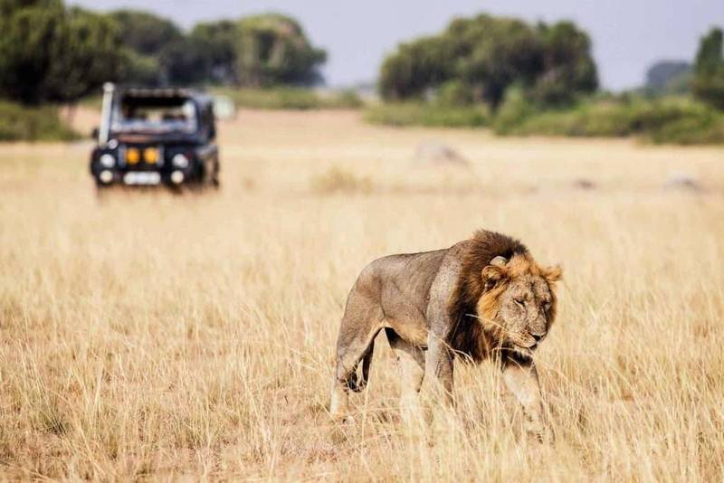 Uganda Tours Uganda Tours