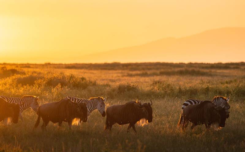Understanding Serengeti’s Seasons (1) Understanding Serengeti’s Seasons