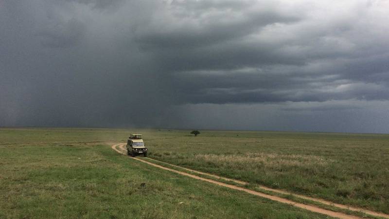 serengeti rainy season serengeti rainy season