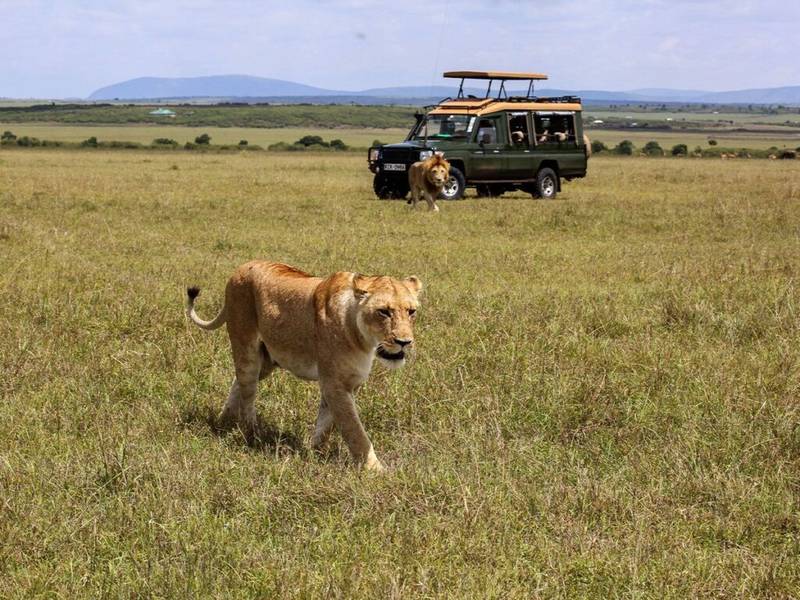 Kenya Big 5 Safari Masai Mara