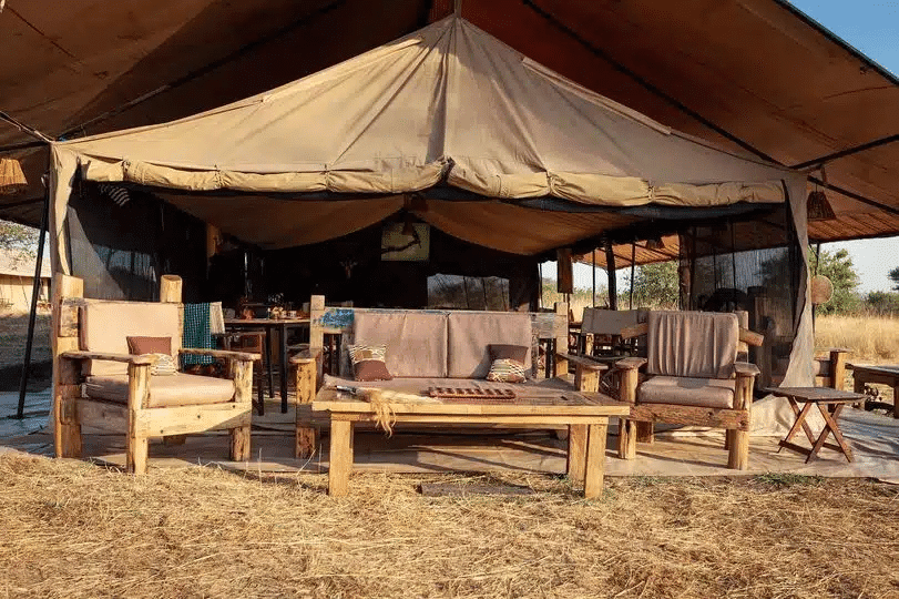 Gnu Ndutu Camp 5