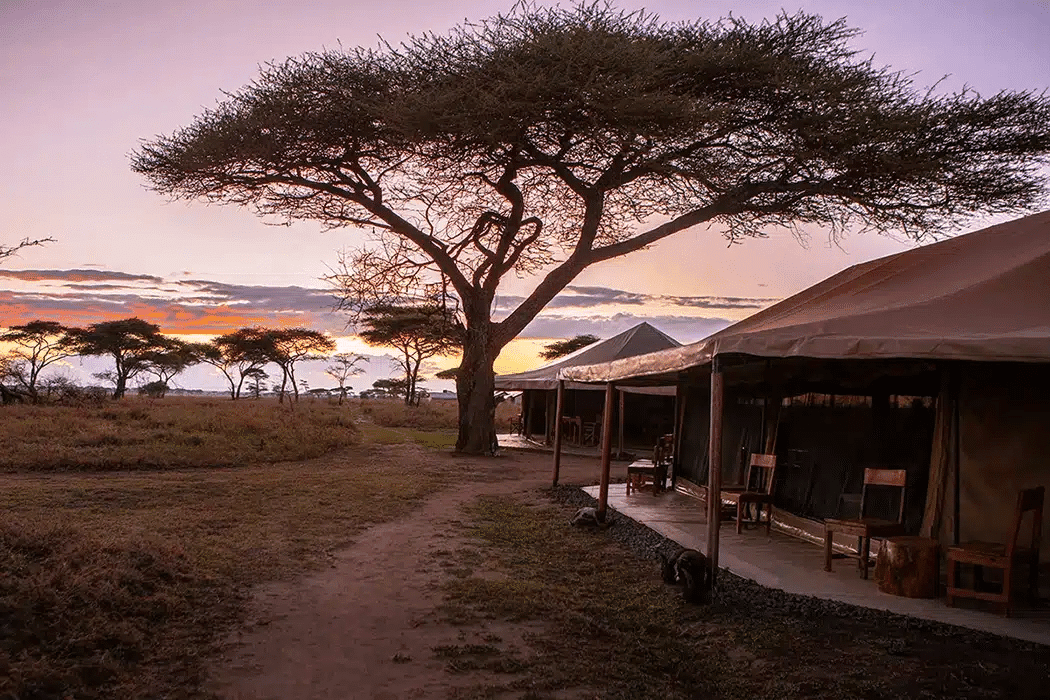 Mawe Tented Camp 2