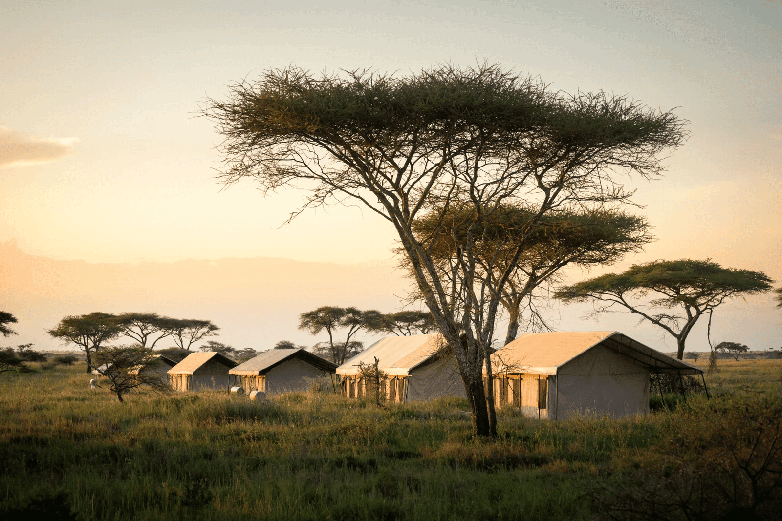 Mawe Tented Camp