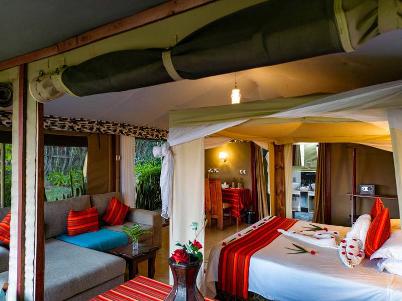Zebra Plains Mara Camp