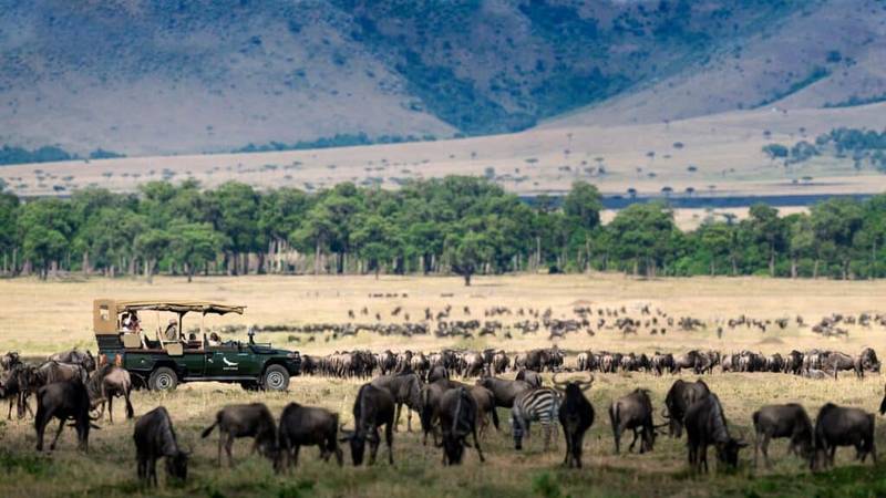 Planning a Masai Mara Safari