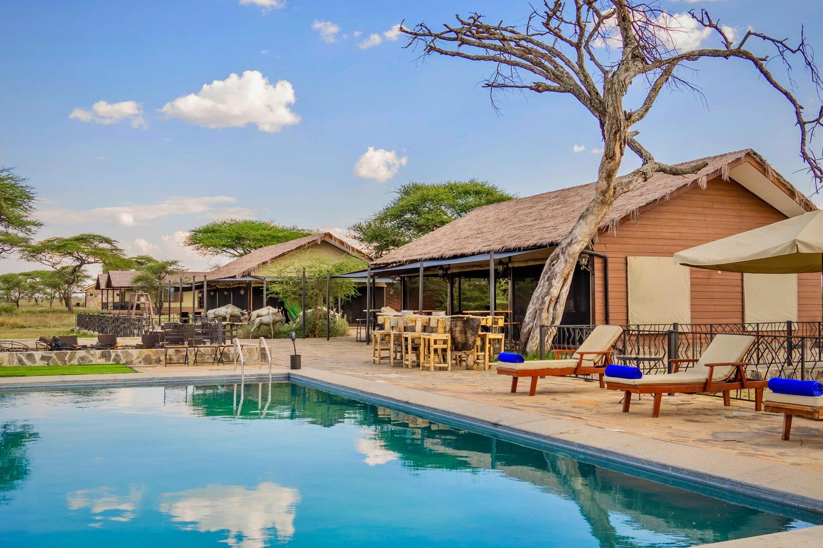 Serengeti Sametu Camp 3