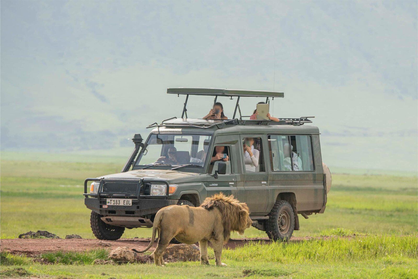 Best Time for an East African Safari- Ngorongoro Crater Game Drive