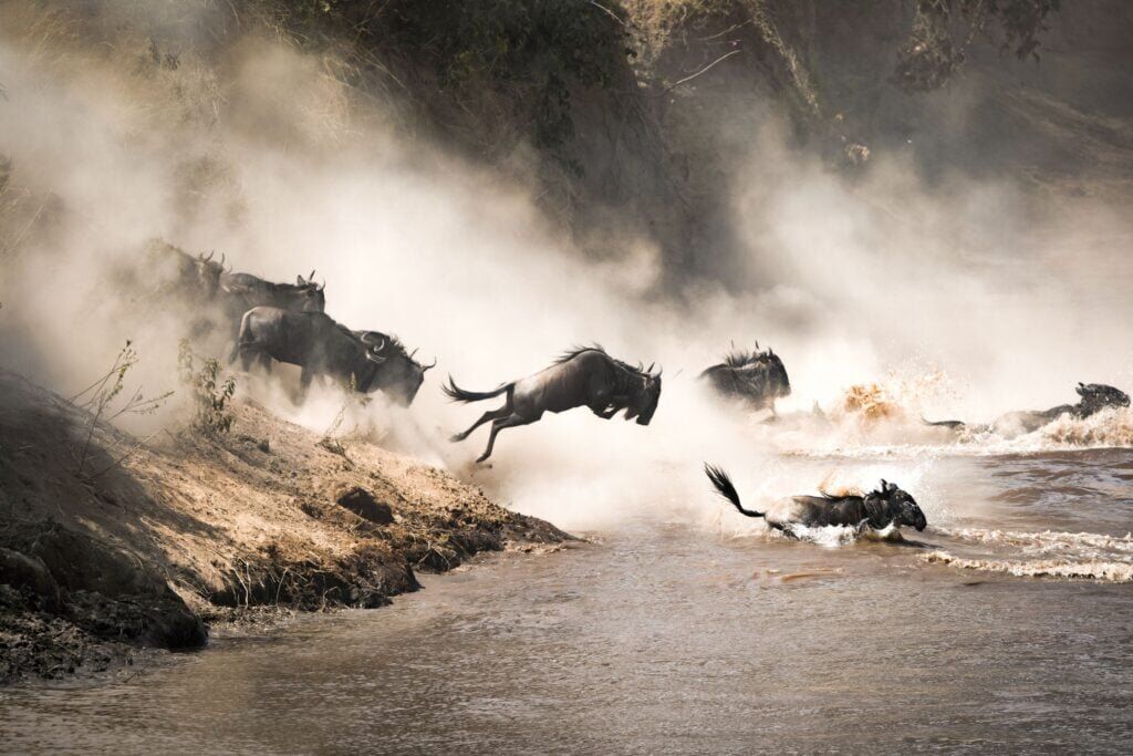 Mara River 1 1024x683