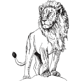 aY47O1WLo0XkEeKJ illustration destinations africa tanzania serengeti lion 14