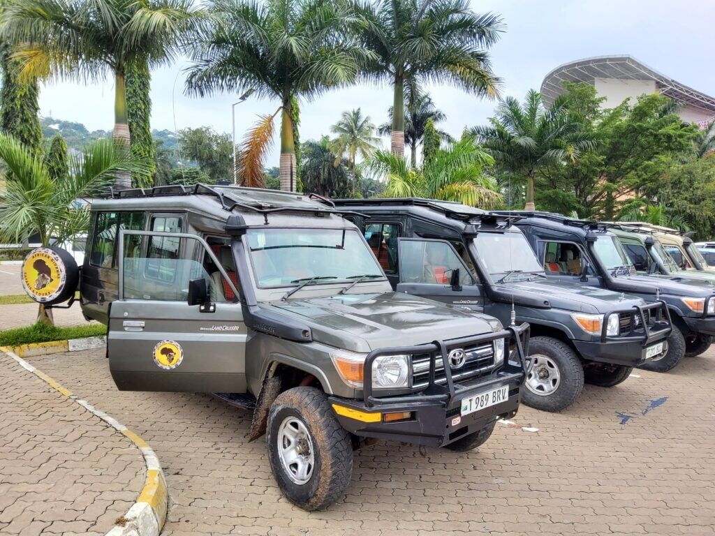 Safari Vehicle 1