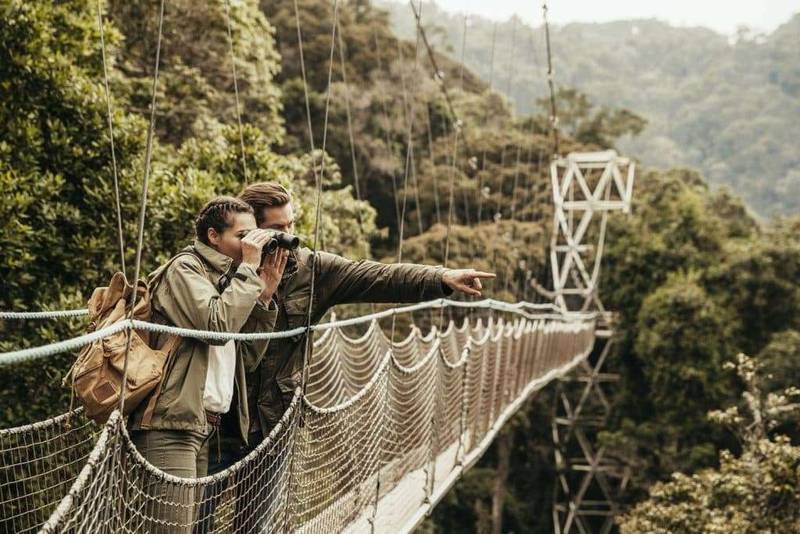 Nyungwe Forest National Park 1
