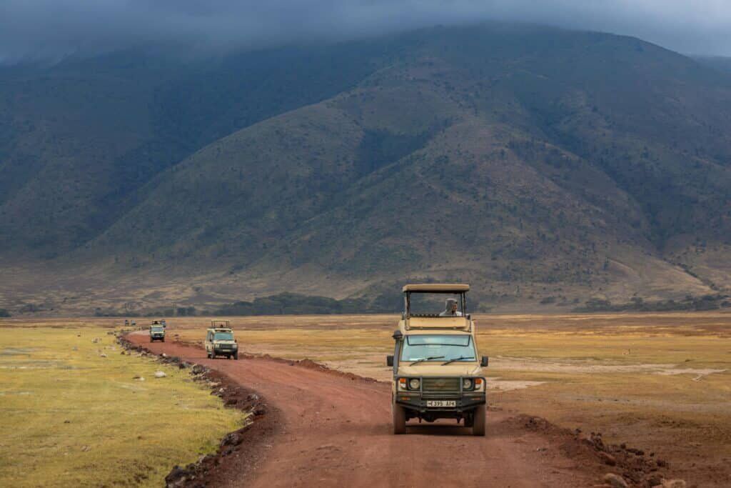 Zebras in Serengeti Safari Vacation in East Africa How to Plan your First Safari Vacation in Africa