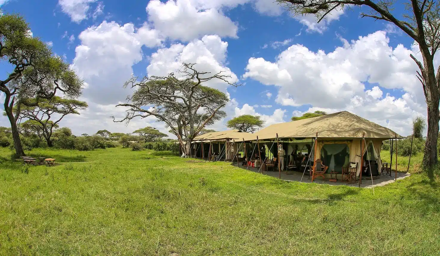 lemala ndutu 5