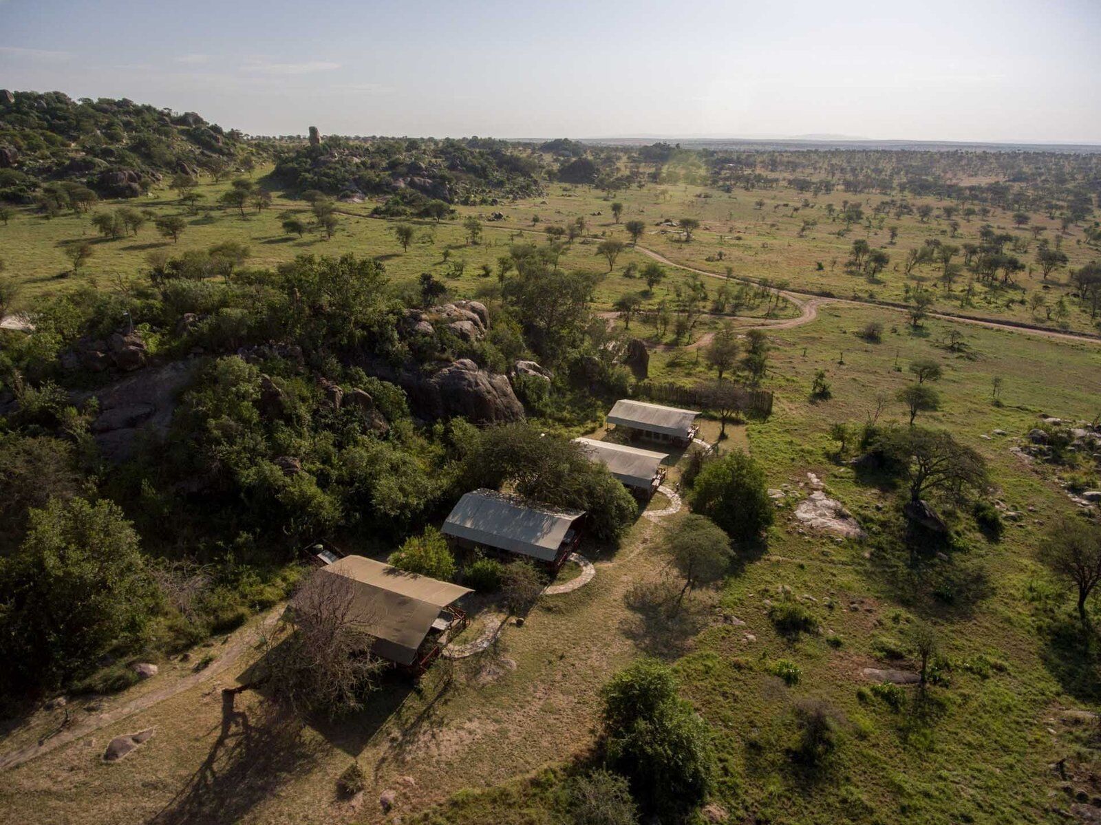 Mbuzi mawe Serena 5