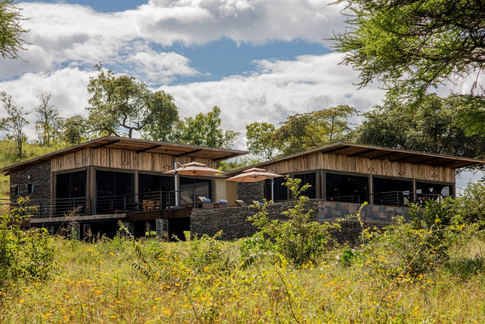 Tarangire Elephant Springs 1