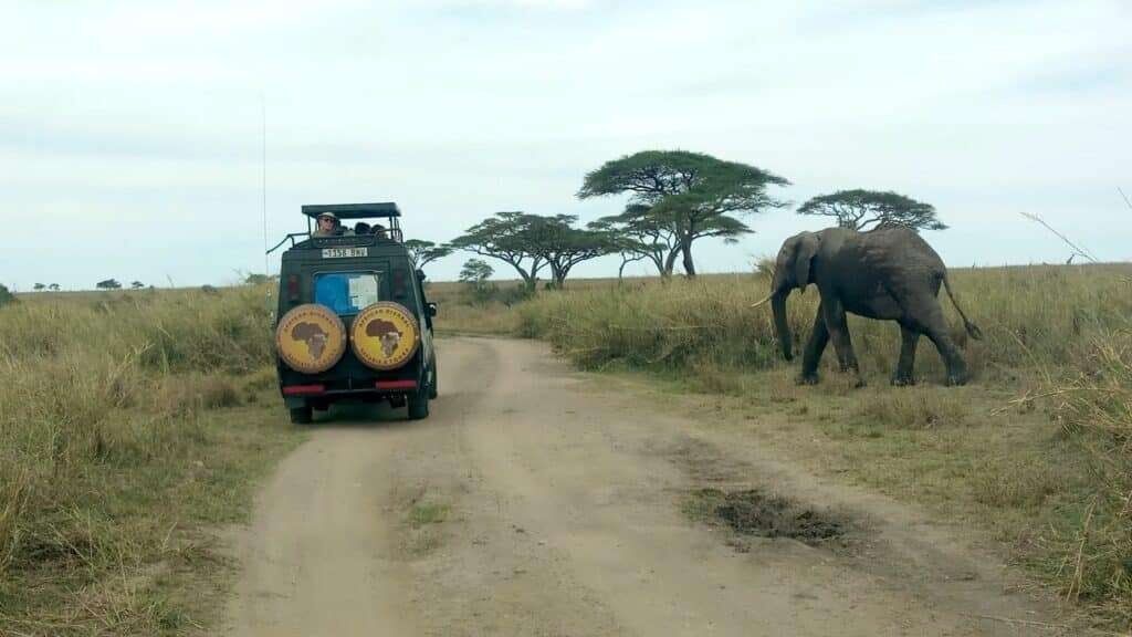 Serengeti National Park 1