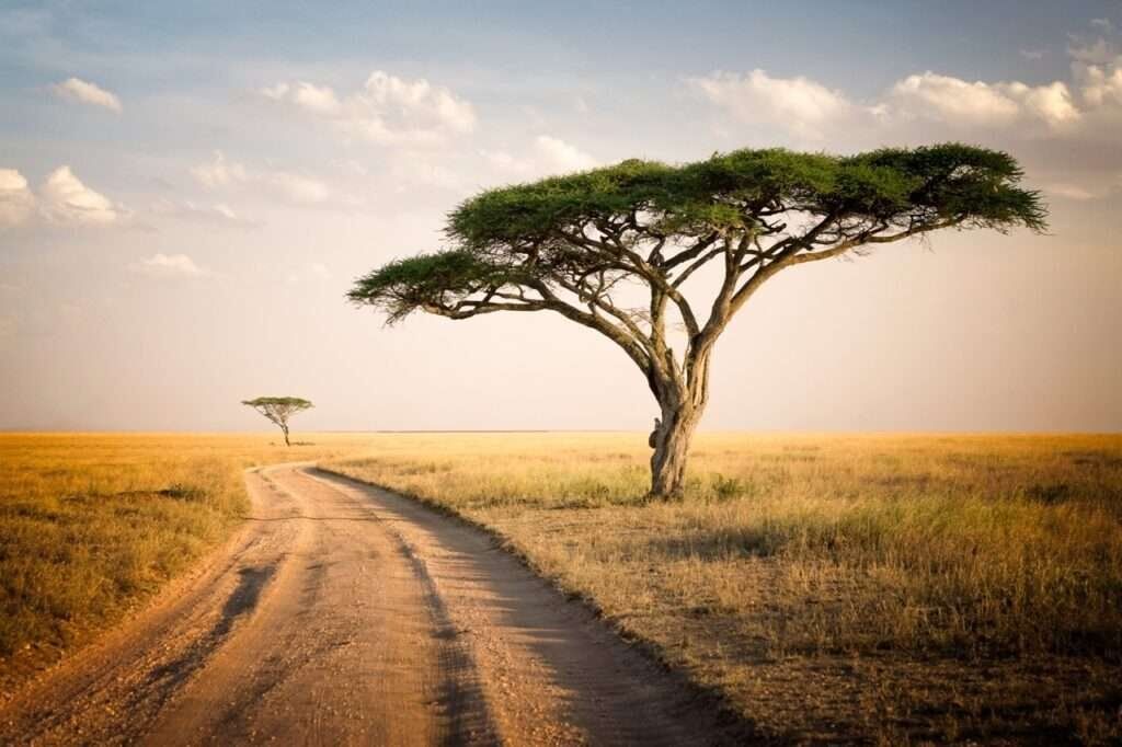 Serengeti National Park