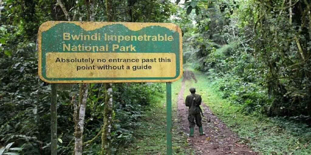 Bwindi Impenetrable National Park Bwindi Impenetrable National Park