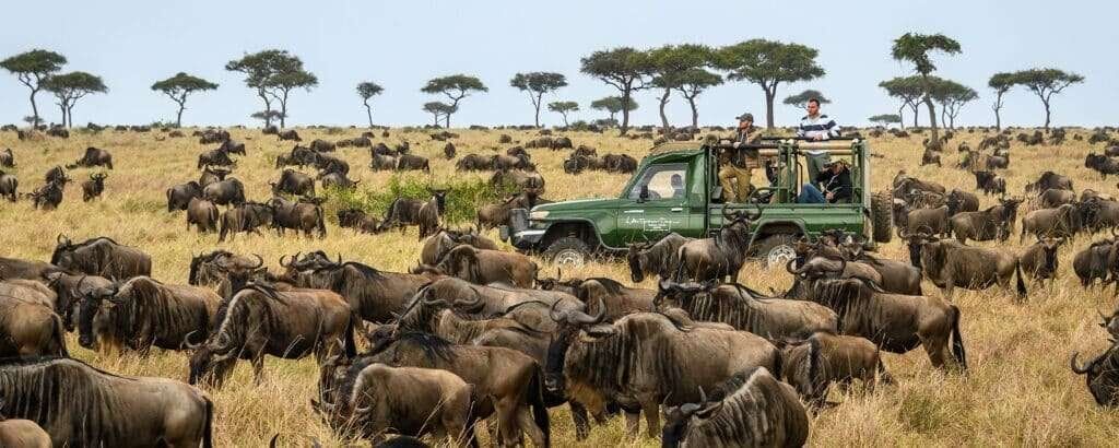 Highlights of Kenya Great Migration Safari