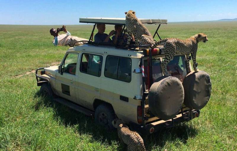 Serengeti Safari Tours5