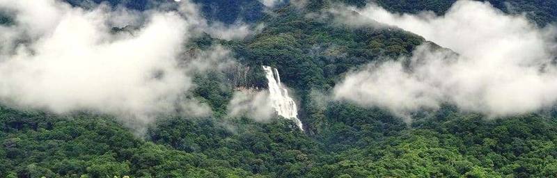 Udzungwa Mountain National Park 4