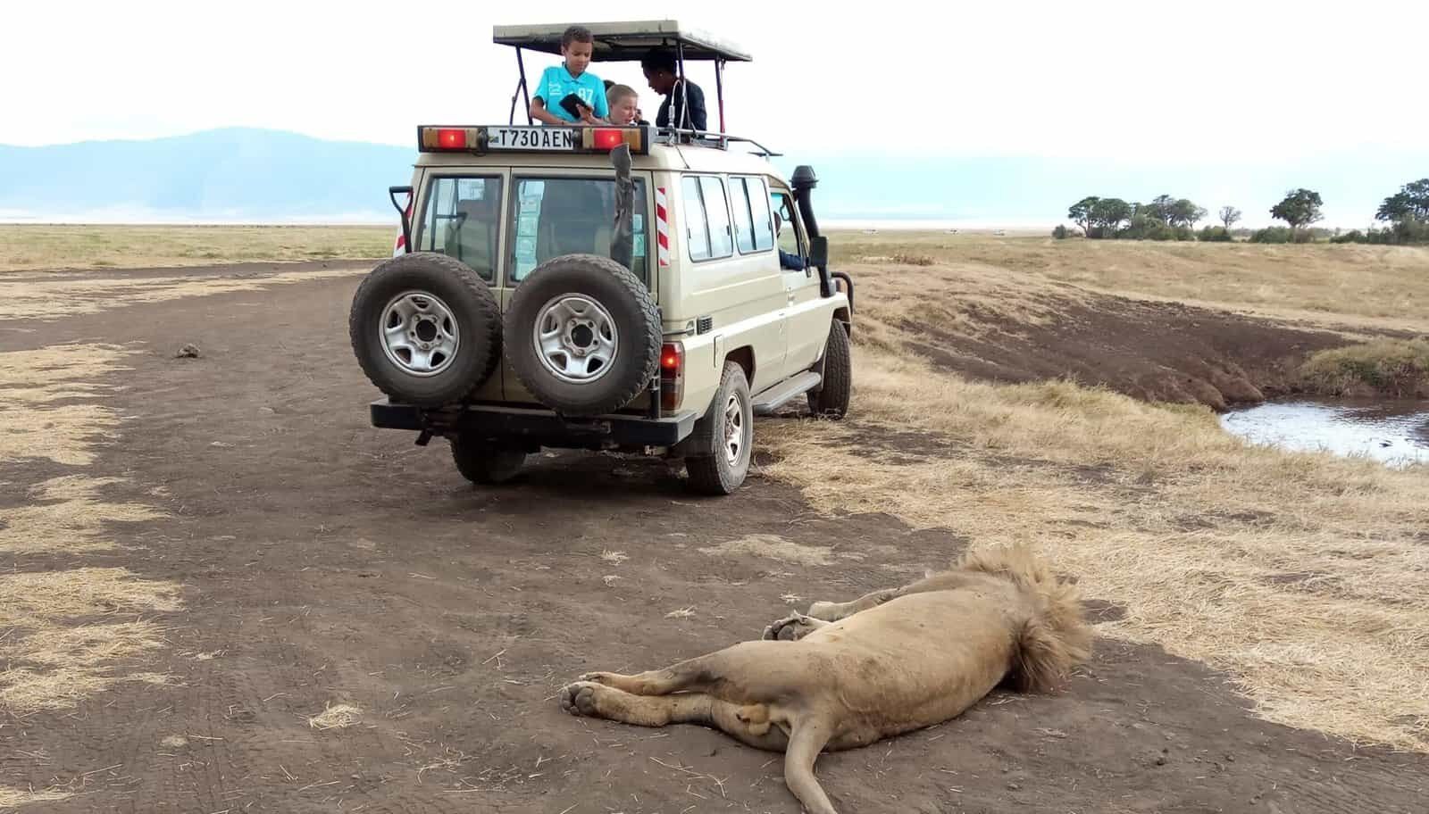 Ngorongoro Crater Safari (2)