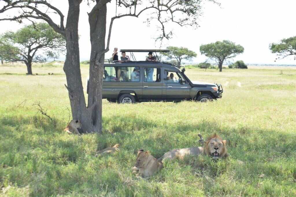 Serengeti Game Drive Serengeti Game Drive