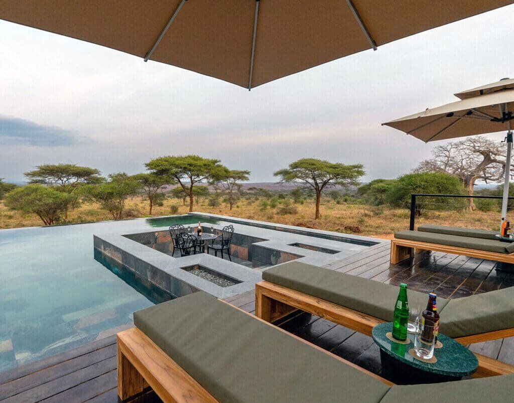 tarangire elephant springs pool