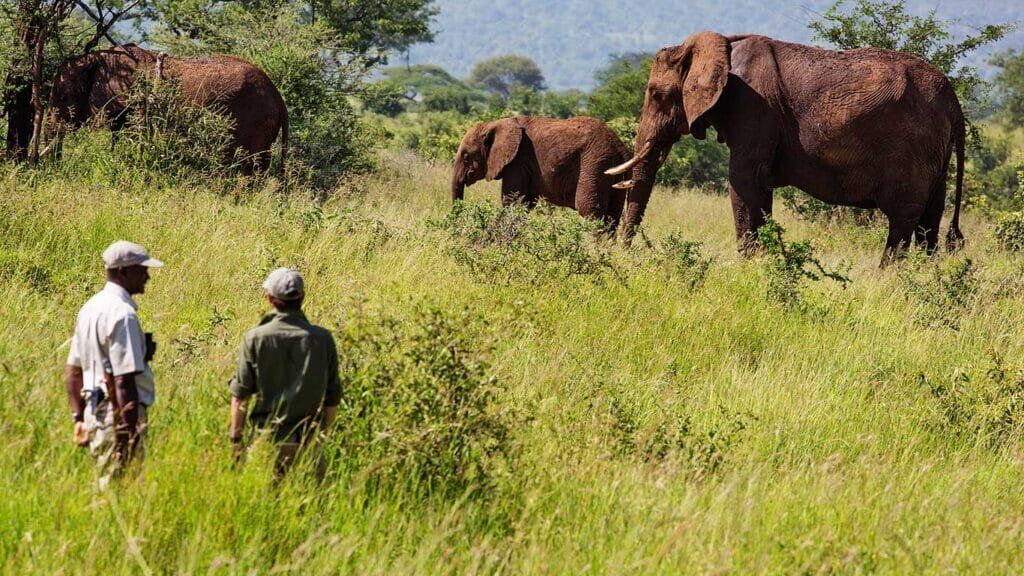 Top 10 Best Places to Visit in East African Top 10 Best Places to Visit in East African