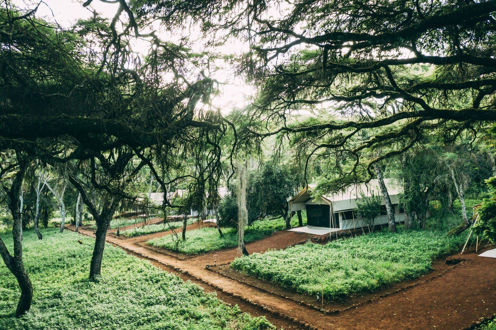 Ngorongoro Tortilis Camp 1
