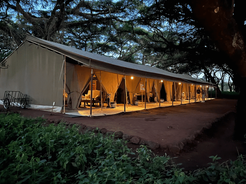 Ngorongoro Tortilis Camp 2
