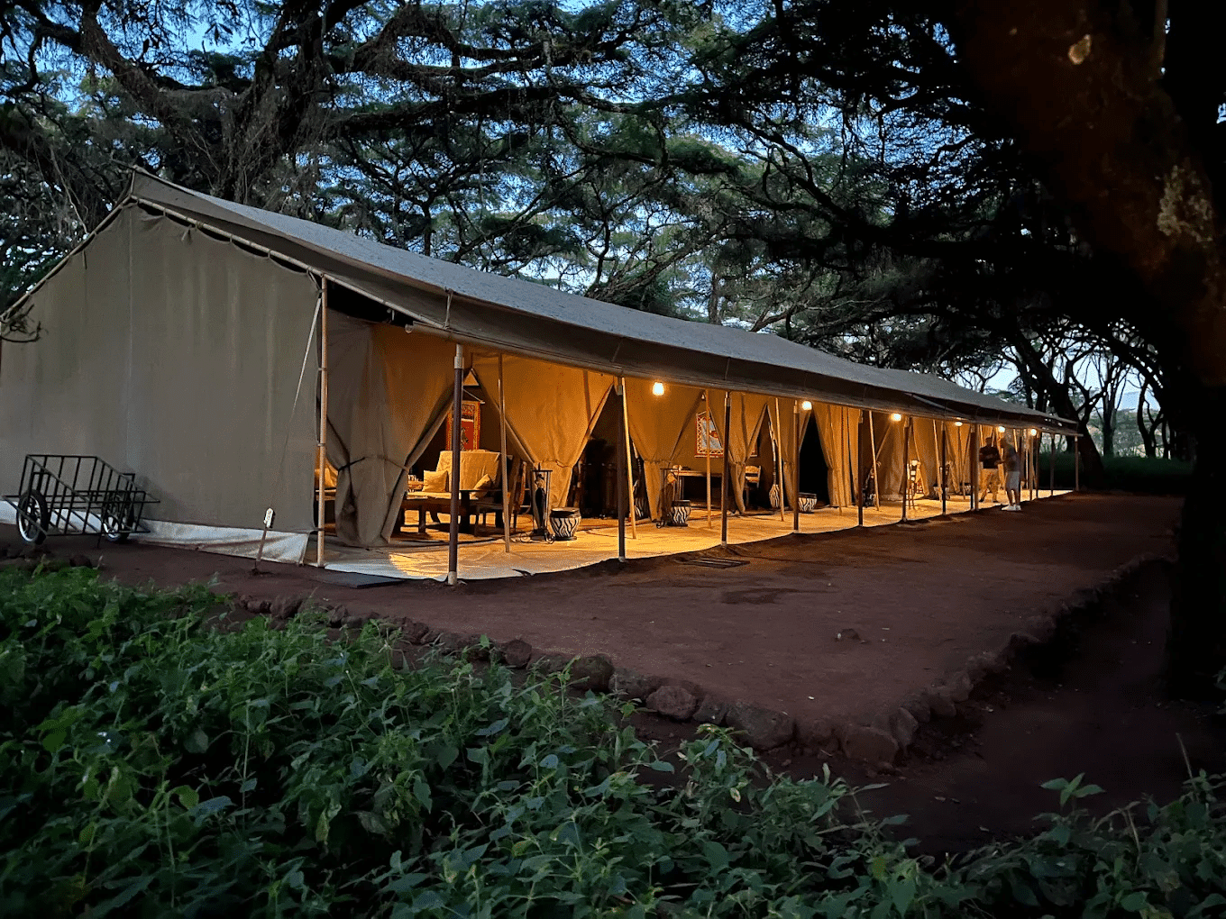 Ngorongoro Tortilis Camp 2