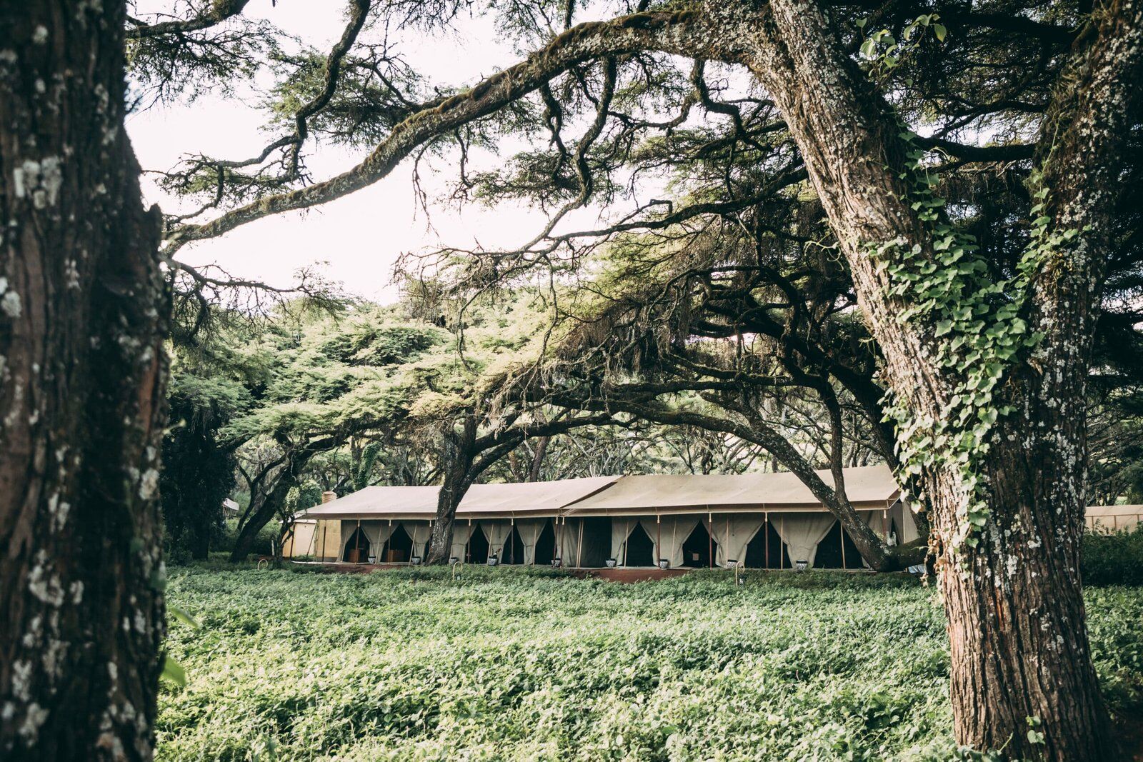 Ngorongoro Tortilis Dinning Area in Ngorongoro