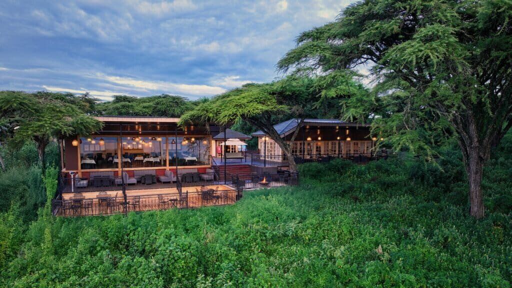 Ngorongoro Lion's Paw 7