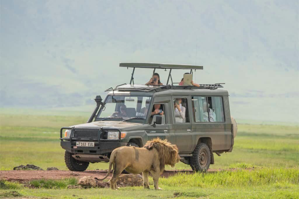 Best Time for an East African Safari - Ngorongoro Crater Game Drive
