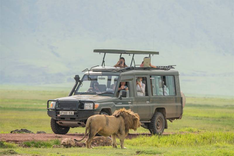 Tanzania Safari Tanzania Visa Tanzania Safari Tanzania Visa