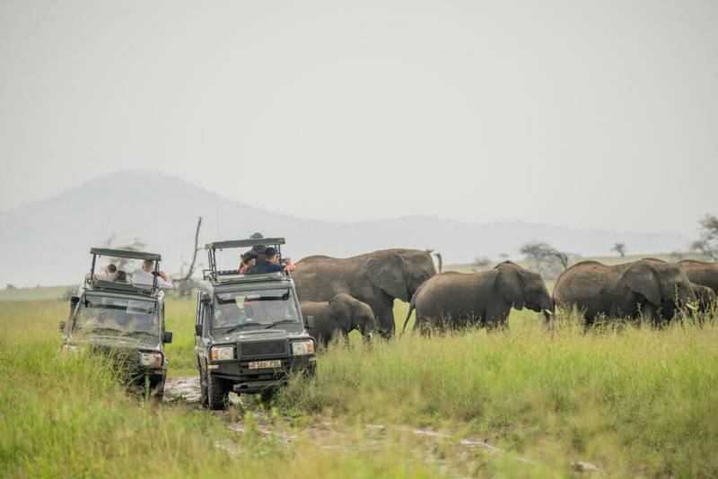 Game Drive in Niorthern Circuit Game Drive in Niorthern Circuit