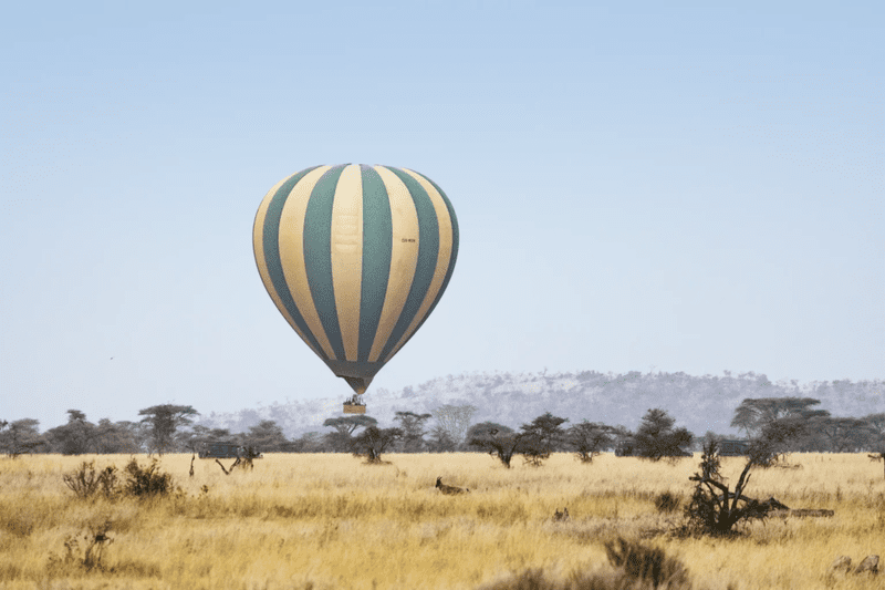 Hot Air Balloon Safaris Hot Air Balloon Safaris