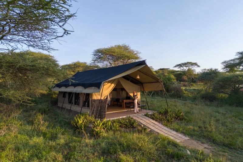 Off The Beaten Path Cafari Camp Off The Beaten Path Cafari Camp