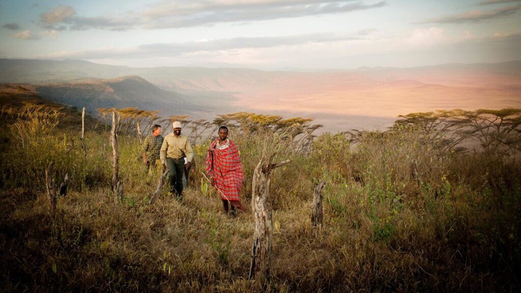 Tanzania Safari & Bush Walk