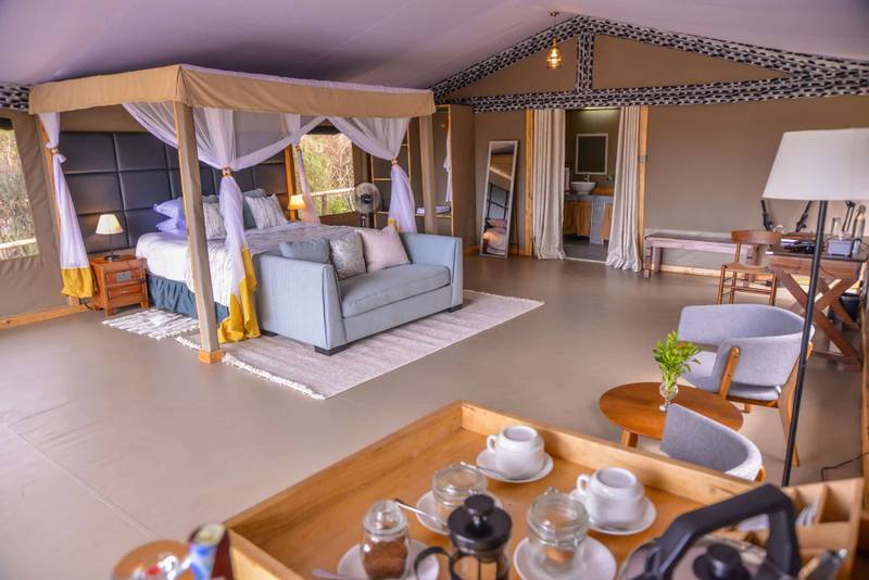 little zebra river camp