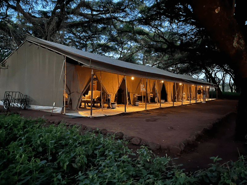 Ngorongoro Tortilis Camp 2