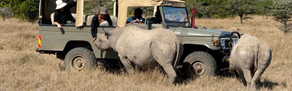 kenya wildlife safaris banner