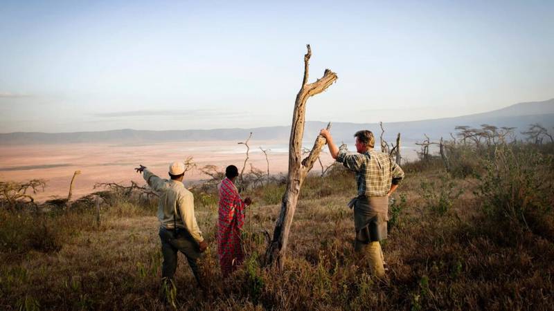 Tanzania Safari & Bush Walk 1