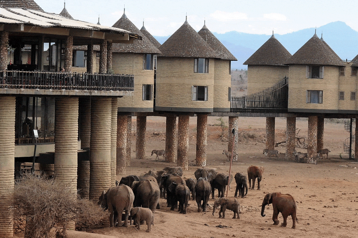 Salt Lick Safari Lodge