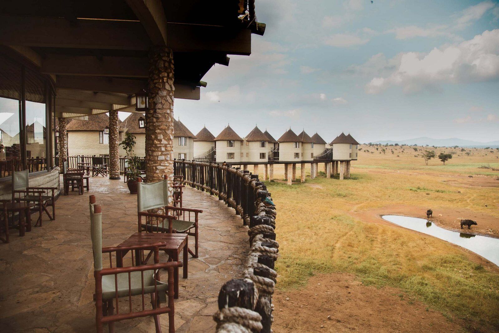 Salt Lick Safari Lodge1