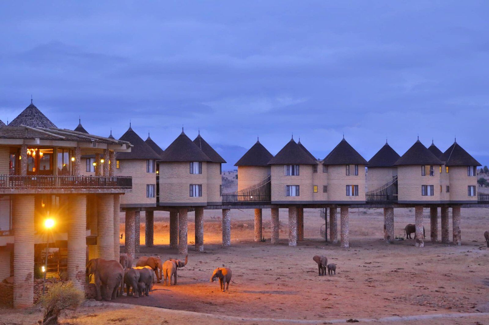 Salt Lick Safari Lodge2